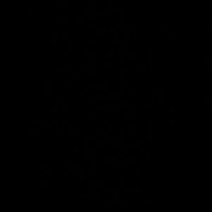 Meet your Posher, Ann